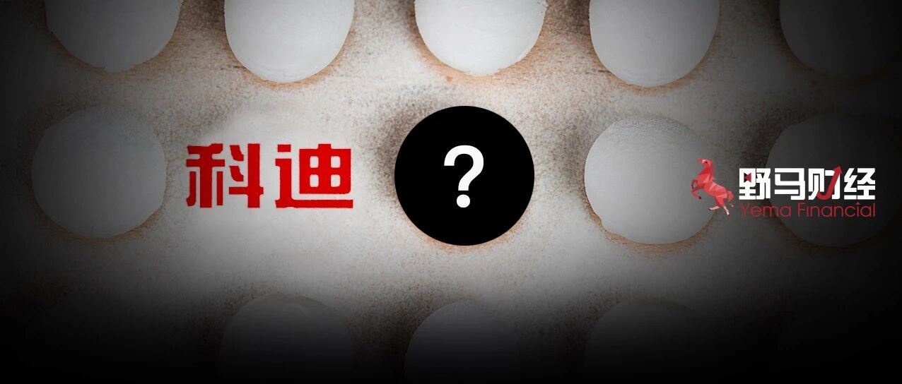 “傻乎乎制造没前途”？造假三亿被重罚，“国民记忆”科迪被掏空