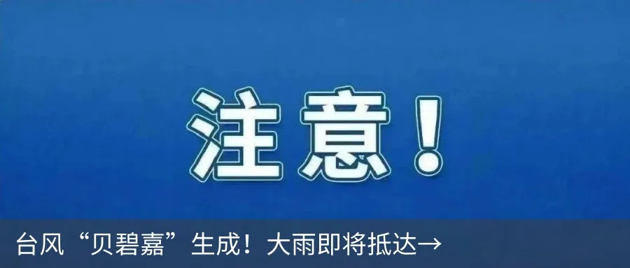 全民安全公开课暨第四届全国应急科普讲解大赛决赛在湖北武汉举办(图2) 图片