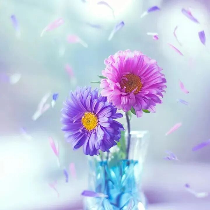 什么是结扎速血管闭合姐妹们，子宫肌瘤是良性肿瘤，不要谈瘤色变_https://www.jmylbn.com_新闻资讯_第9张