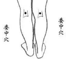 化解静脉曲张的千古名方