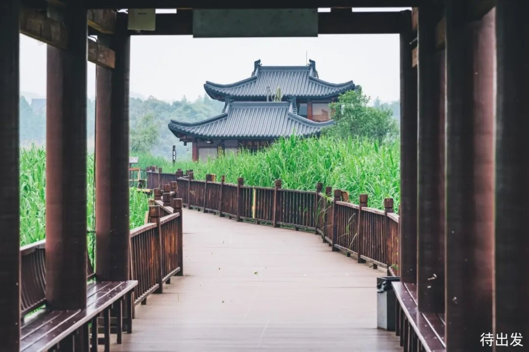 宝藏小城德清9个必去景点推荐行遍江南清丽地人生只合住德清