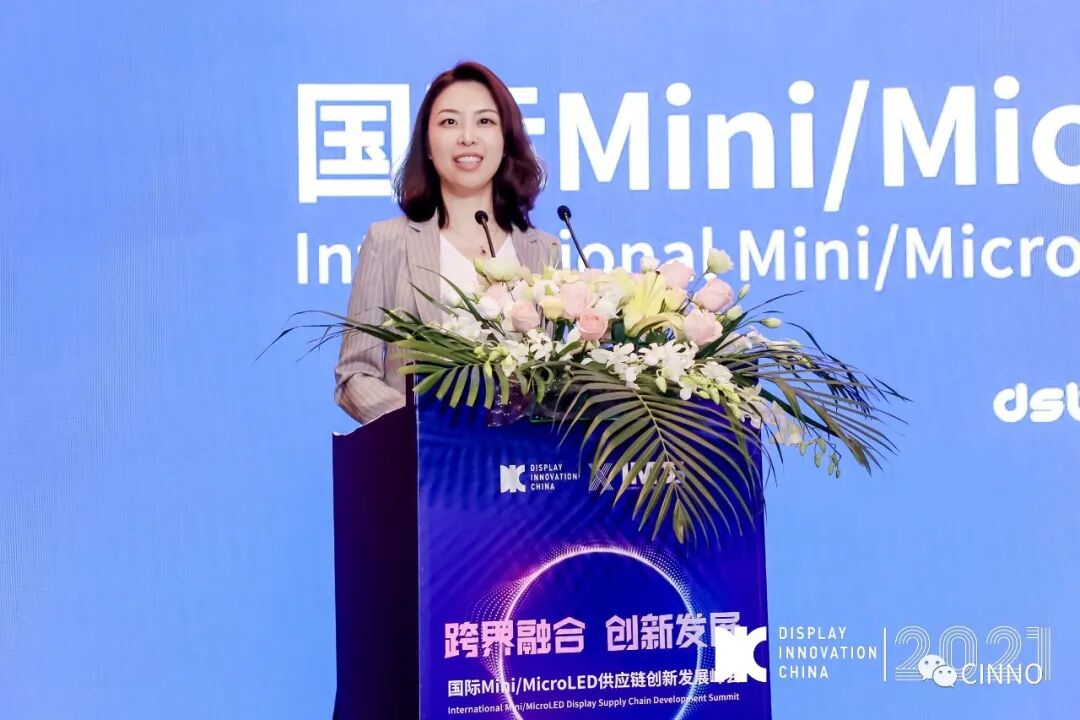 探索上下游協作、謀篇布局！首屆國際Mini/MicroLED供應鏈創新發展峰會成功舉辦的圖5