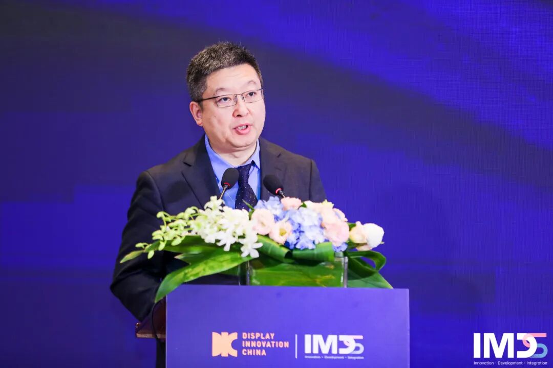 第三屆國際Mini/Micro LED供應鏈創新發展峰會(IMDS 2023)成功舉辦的圖5