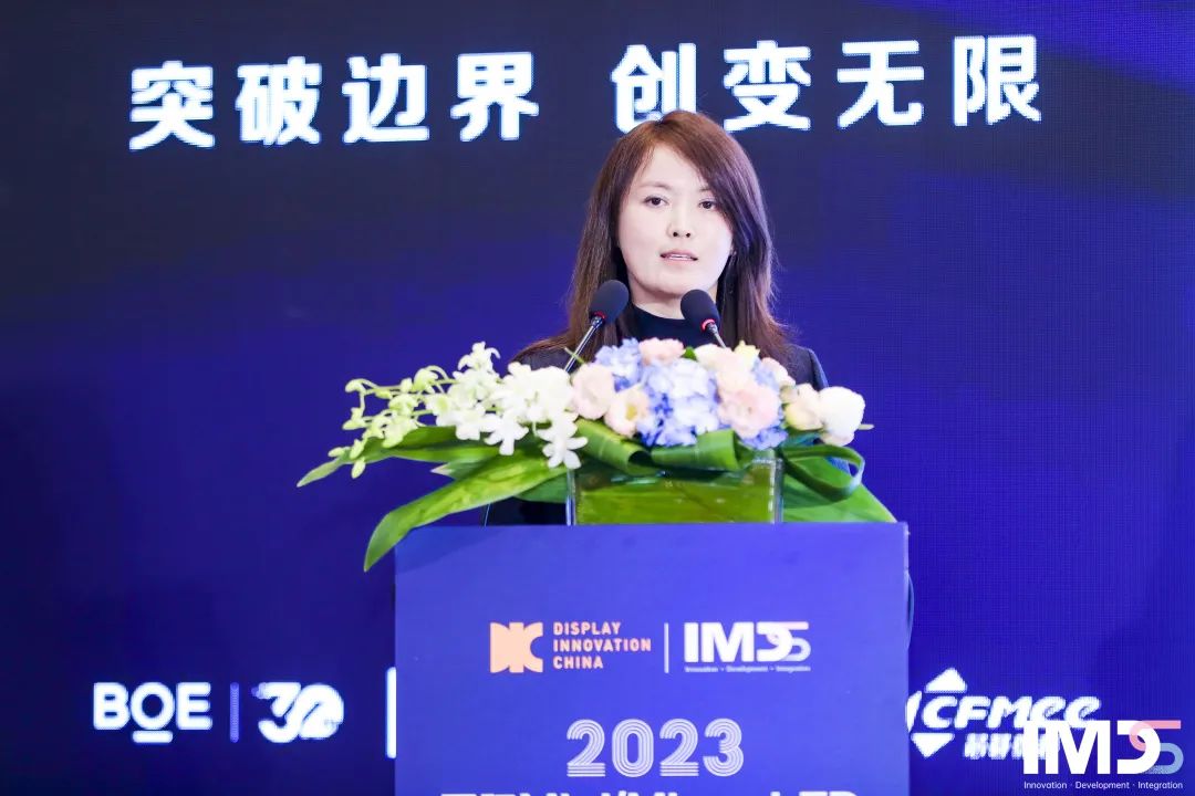 第三届国际Mini/Micro LED供应链创新发展峰会(IMDS 2023)成功举办的图11