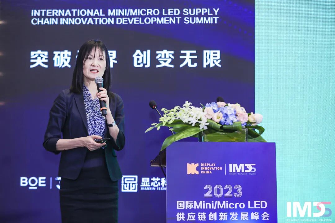 第三屆國際Mini/Micro LED供應鏈創新發展峰會(IMDS 2023)成功舉辦的圖17