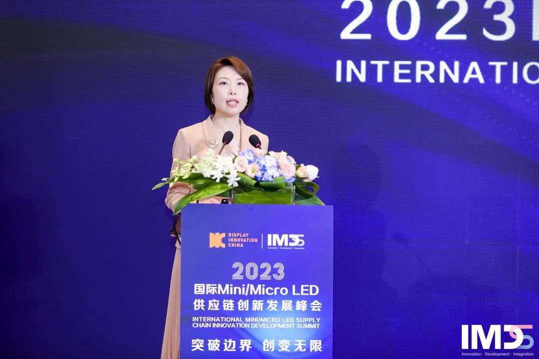 第三届国际Mini/Micro LED供应链创新发展峰会(IMDS 2023)成功举办的图6