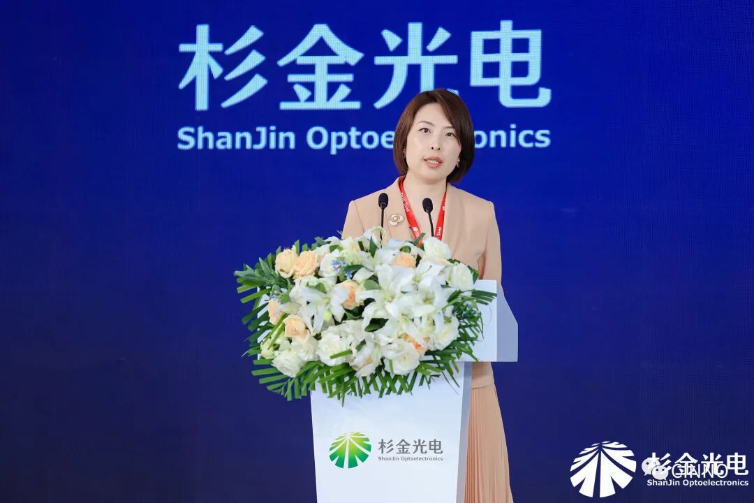 国内首部显示偏光片产业蓝皮书重磅发布！加速产业标准化进程，引领技术市场黄金发展期的图5