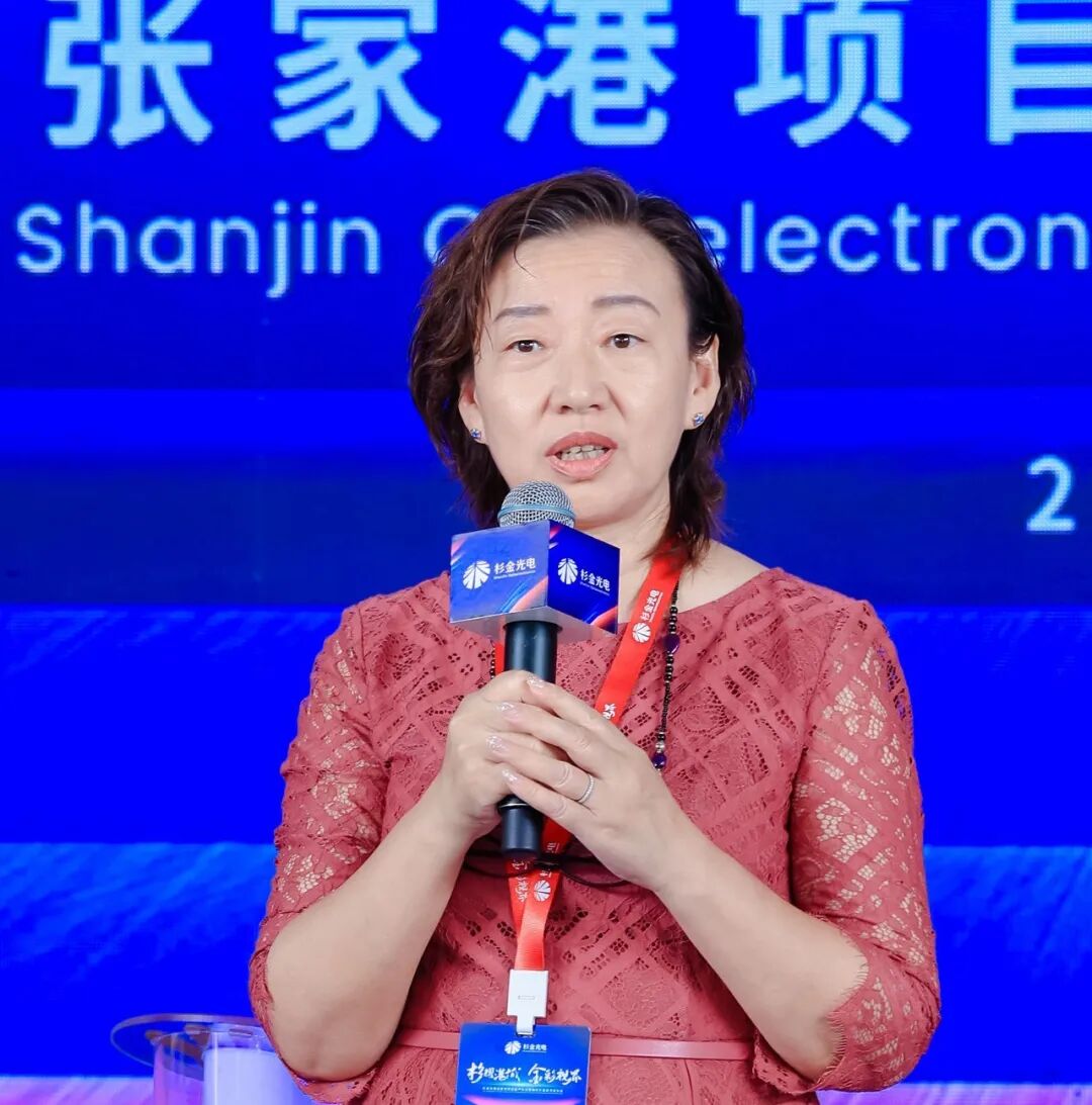 国内首部显示偏光片产业蓝皮书重磅发布！加速产业标准化进程，引领技术市场黄金发展期的图10