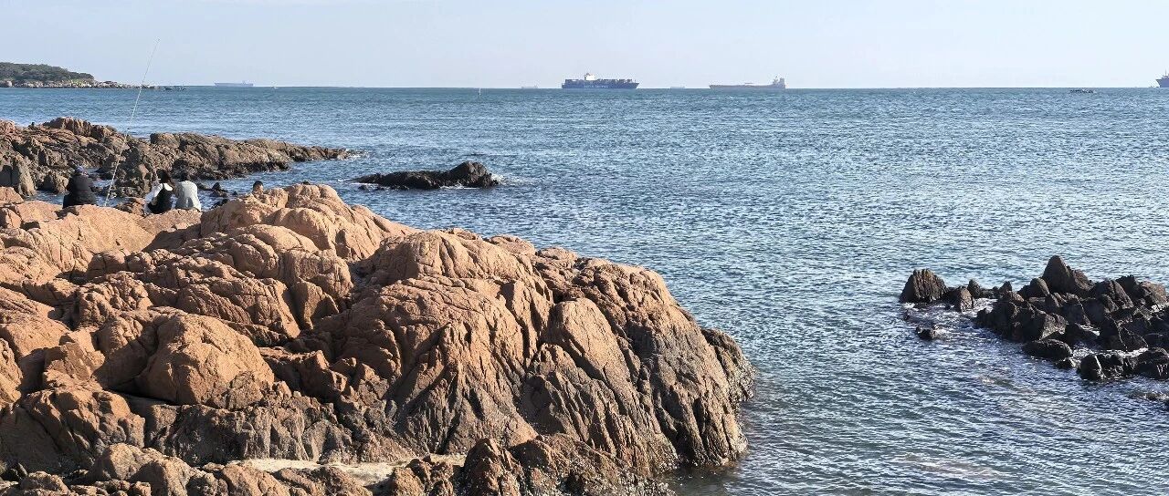 唾弃谷正文,点赞余皑磊