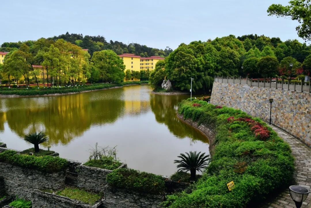 成都理工大學工程技術學院錄取查詢_成都理工大學工程技術學院錄取查詢_成都理工大學官網錄取查詢在哪