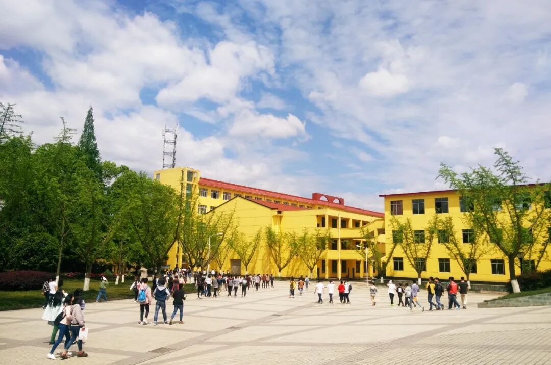 成都理工大學工程技術學院錄取查詢_成都理工大學官網錄取查詢在哪_成都理工大學工程技術學院錄取查詢