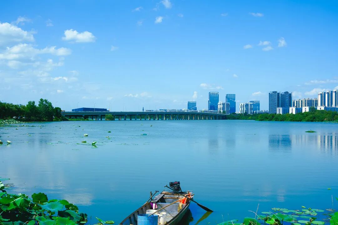 汤逊湖  (2).jpg