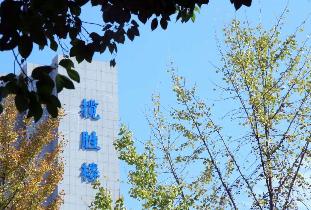 《眺望》城市摄影队大学生小分队 曾梦婷 摄于湖科揽胜楼前.jpg