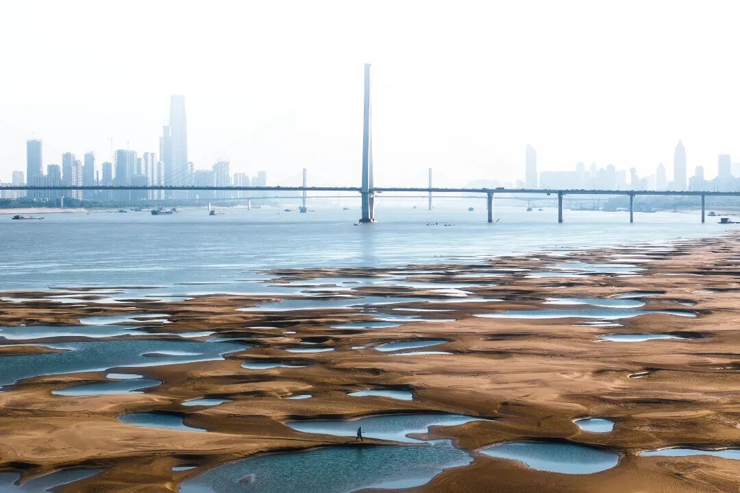 滩涂  地点：二七长江大桥.jpg