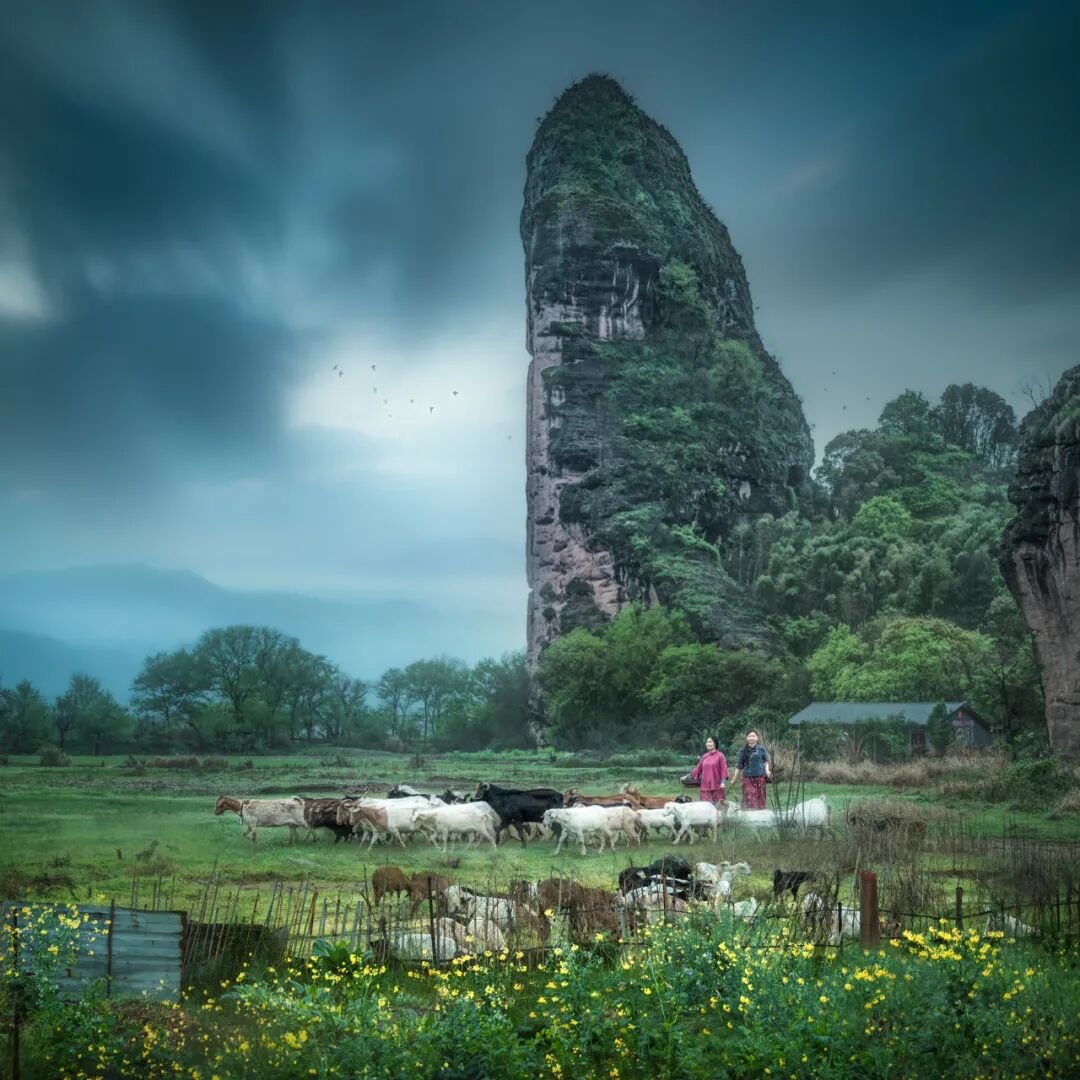上央视了!龙虎山有请三位动物嘉宾现身说法,这里的生态真的顶!