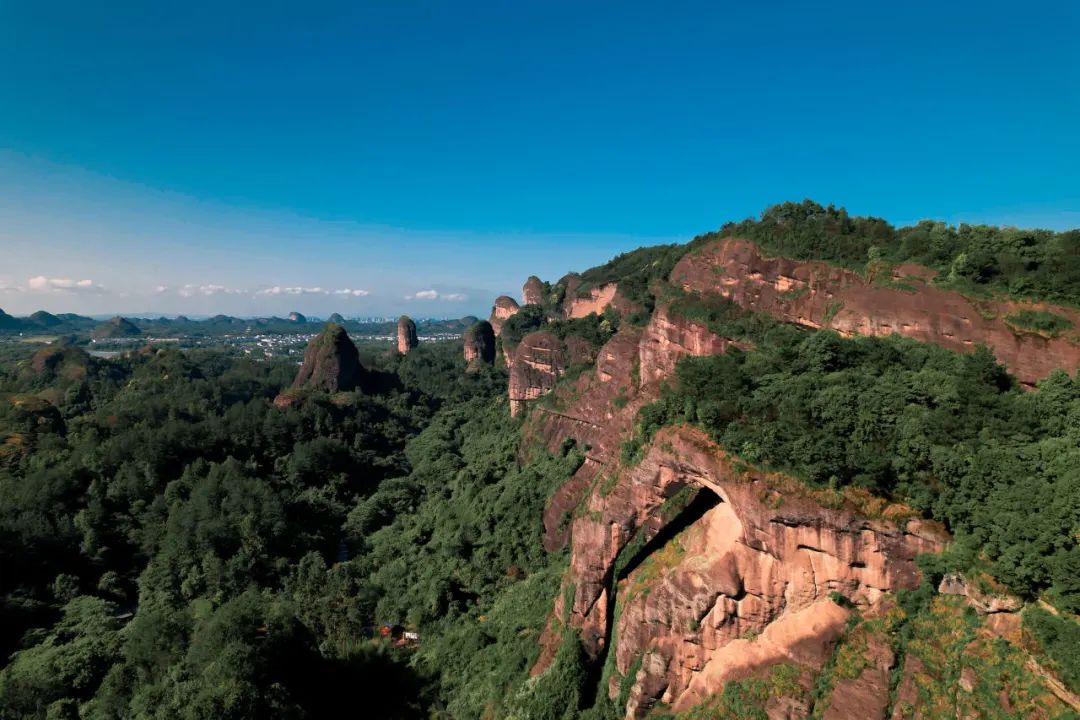 一天四波专列团！今天的龙虎山被东北朋友承包了！