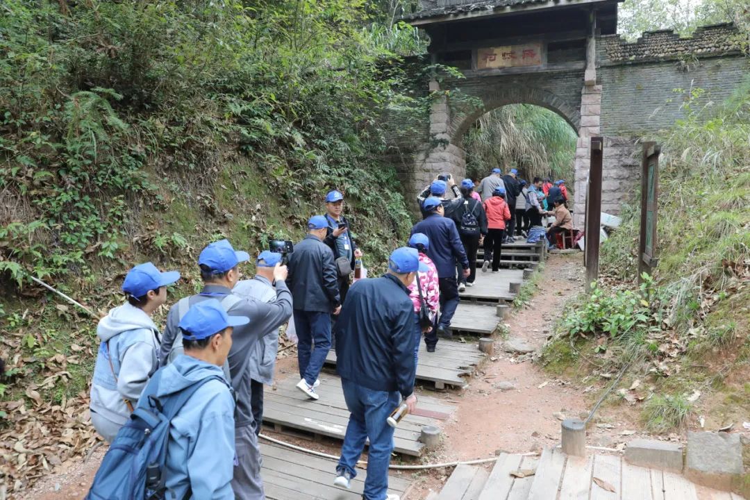 一天四波专列团！今天的龙虎山被东北朋友承包了！