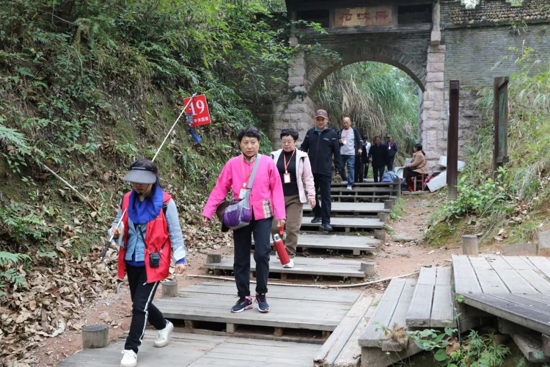 一天四波专列团！今天的龙虎山被东北朋友承包了！