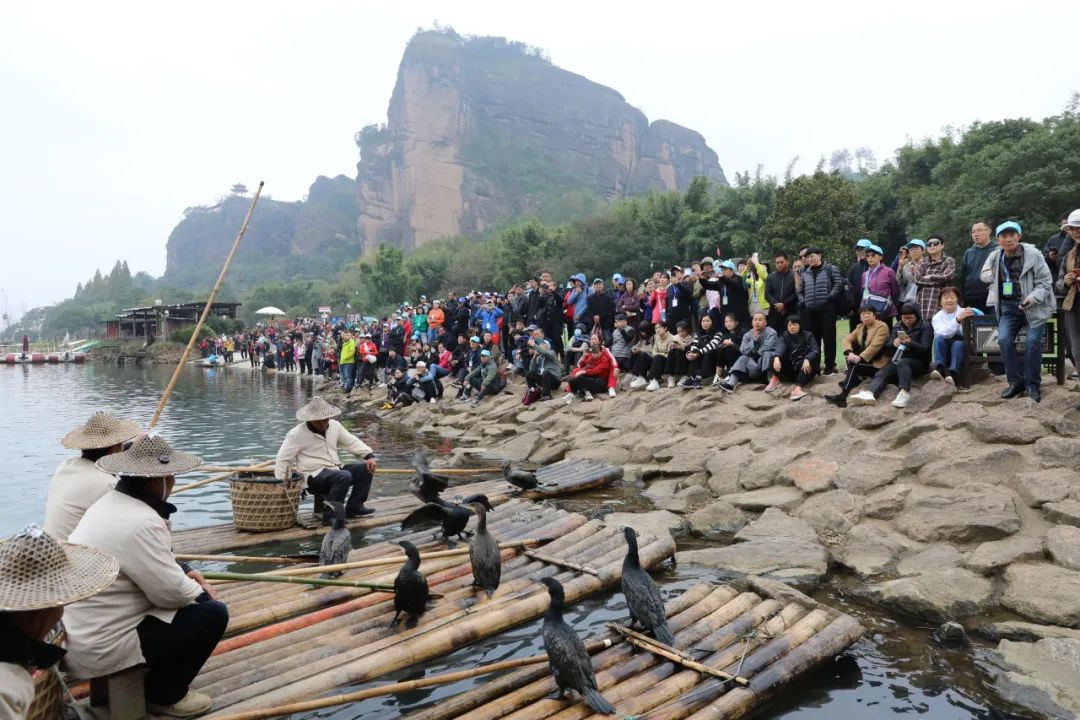 一天四波专列团！今天的龙虎山被东北朋友承包了！