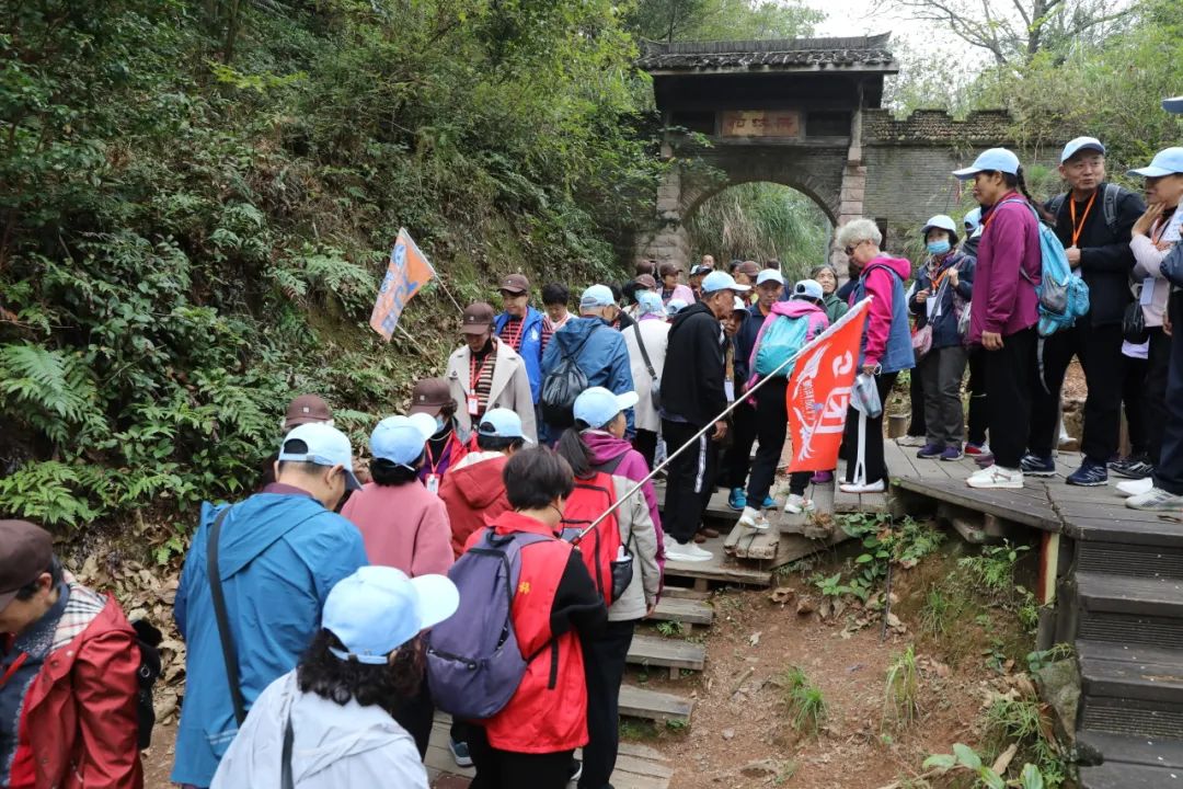 一天四波专列团！今天的龙虎山被东北朋友承包了！