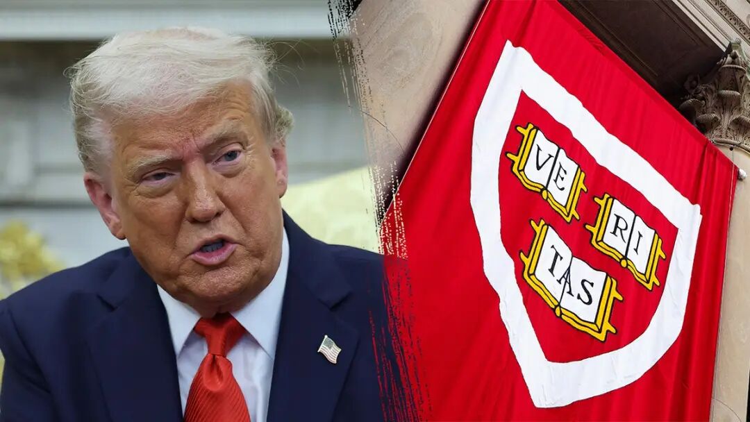 McMahon defends Trump administration's Harvard diversity program reforms |  Fox News