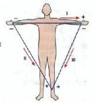 病人监护仪怎么用监护仪的使用丨基本监测参数_https://www.jmylbn.com_新闻资讯_第3张