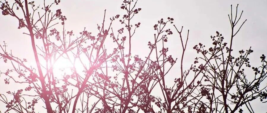 cover_image