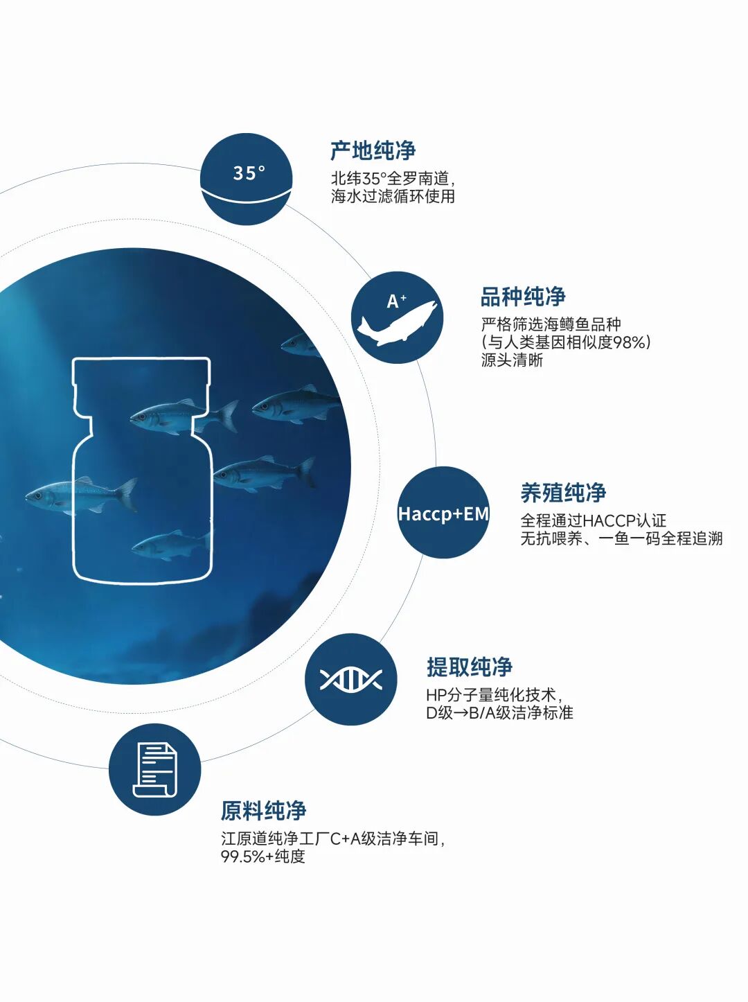 养了20年三文鱼丨优质海鳟鱼如何变成更高纯度的纯净PDRN？