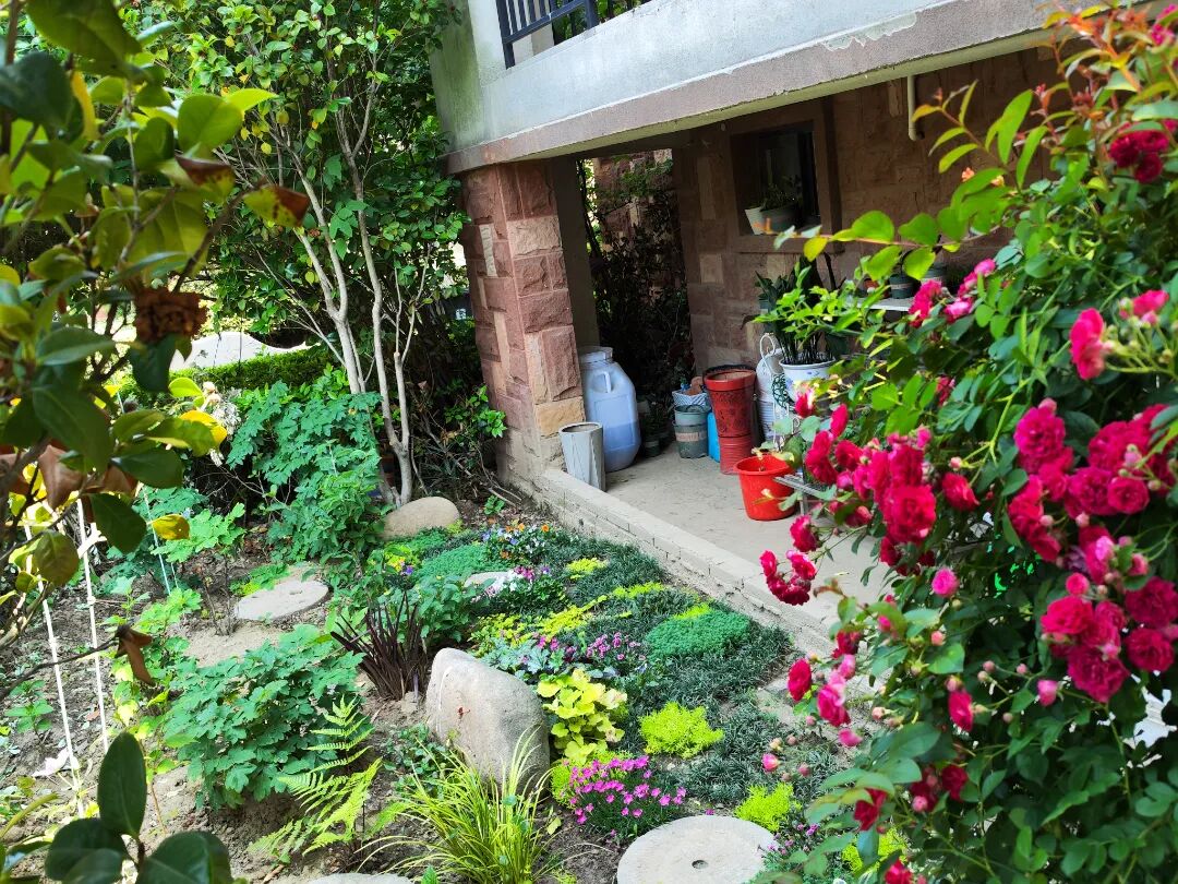 探访仪征藏在市民家门口"莫奈花园"