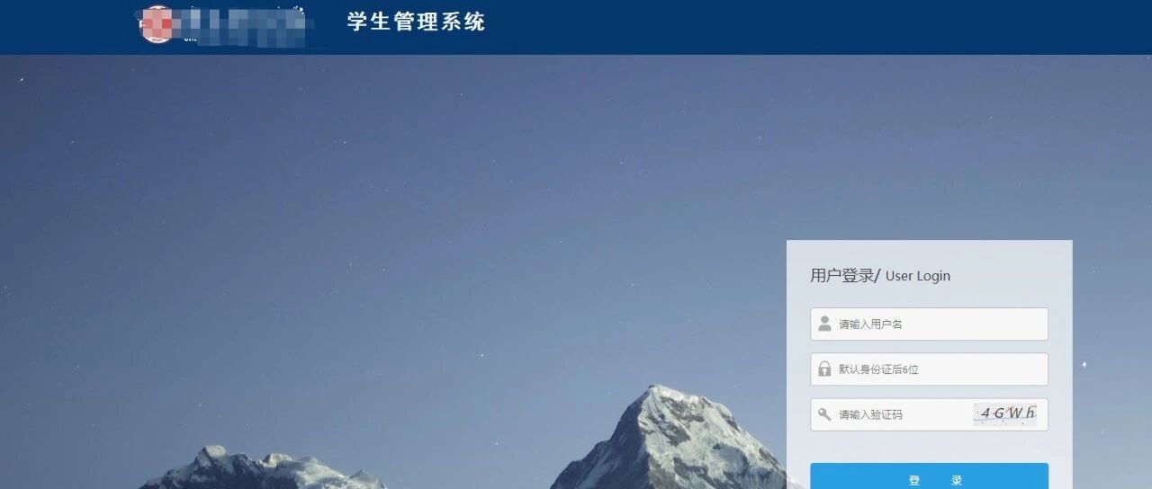 Example Image