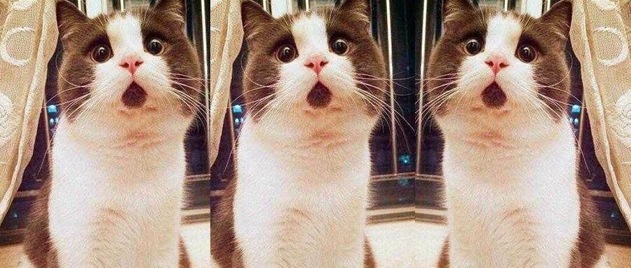 “你们HR的工资多少？”“三万多一点吧！”
