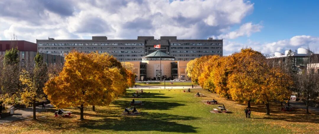 640 - 2025-05-26T113848.740.jpg