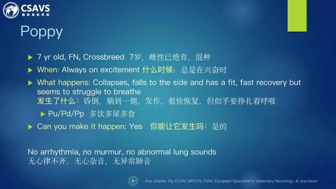 全科兽医必修课【犬猫癫痫和抽搐】