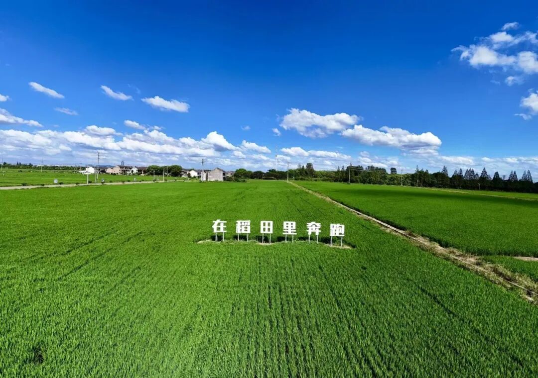 微信图片_20260824152106_241_106.jpg
