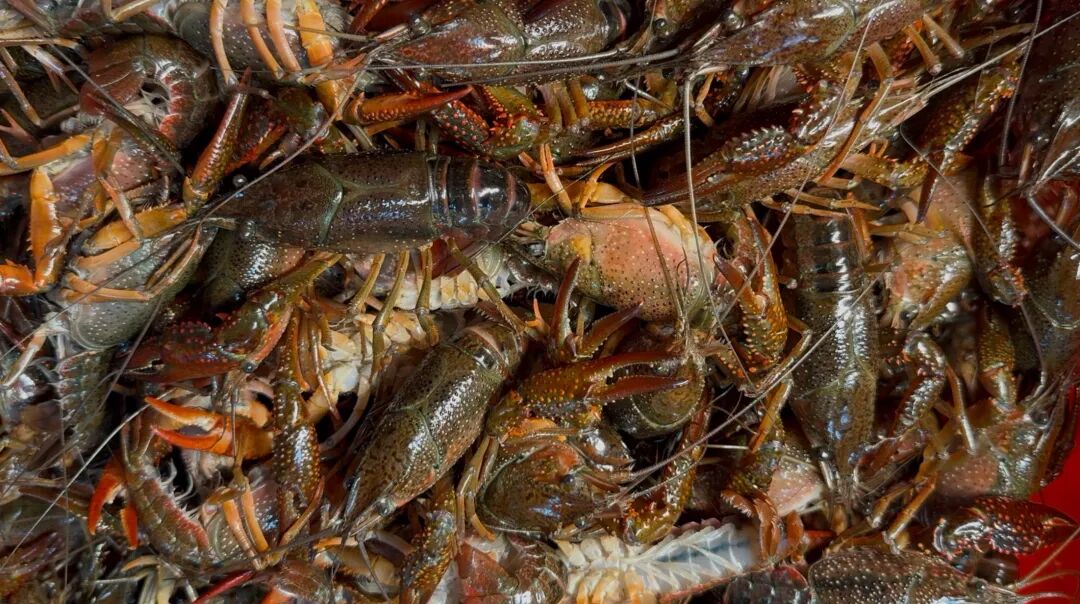 65564dcea6b740e2524ca65c926513c.jpg