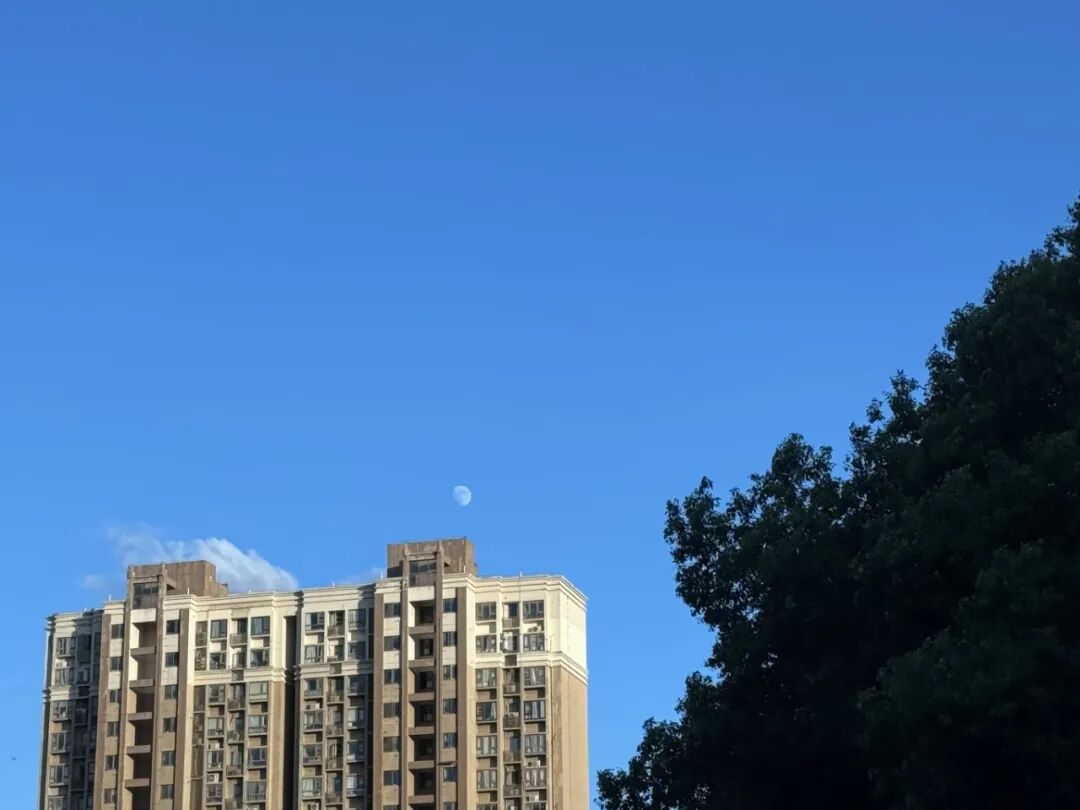 微信图片_20260825091337_8452_5.jpg