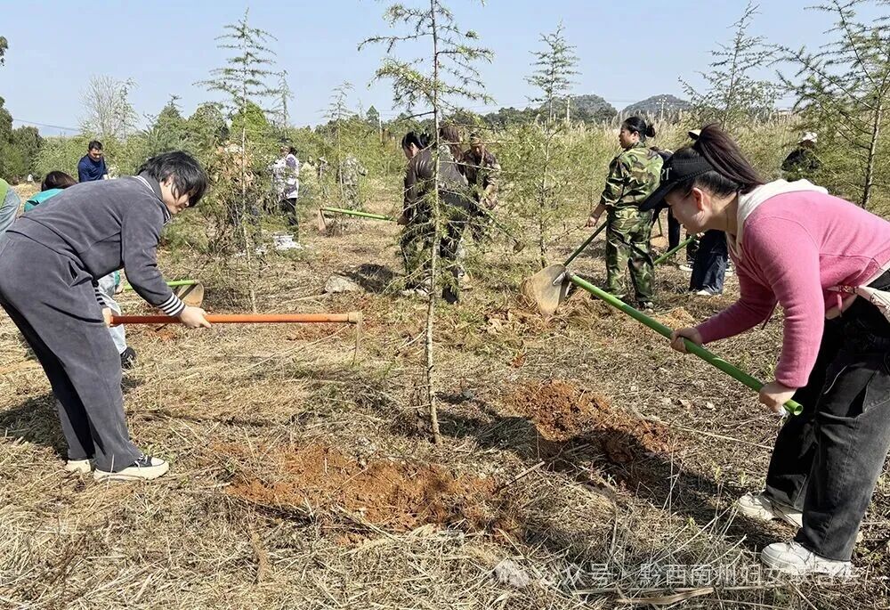 多部门联合开展“共筑绿色家园，守护青绿有我”生态文明实践主题党日活动(图3)
