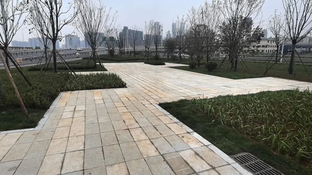 南昌新建区礼步湖广场改造完工焕新亮相，提升老城活力