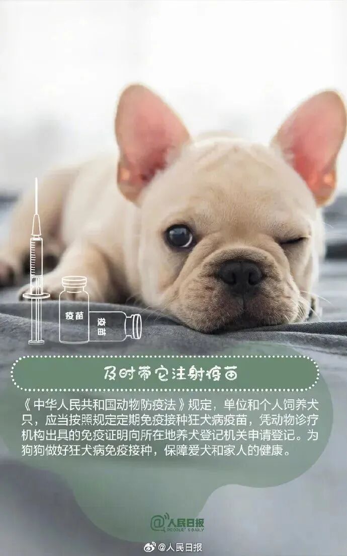 【文明养犬】文明养犬，从我做起︱牵紧“文明绳”，养犬不掉“链”！