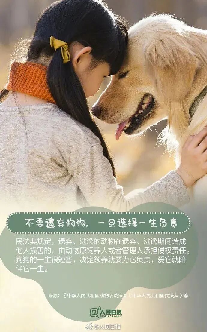 【文明养犬】文明养犬，从我做起︱牵紧“文明绳”，养犬不掉“链”！