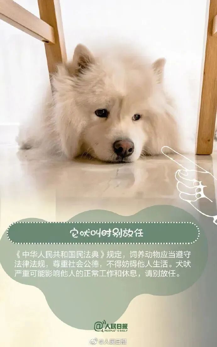 【文明养犬】文明养犬，从我做起︱牵紧“文明绳”，养犬不掉“链”！