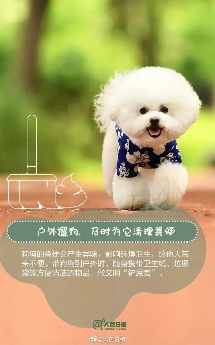 【文明养犬】文明养犬，从我做起︱牵紧“文明绳”，养犬不掉“链”！