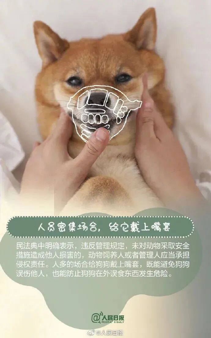 【文明养犬】文明养犬，从我做起︱牵紧“文明绳”，养犬不掉“链”！