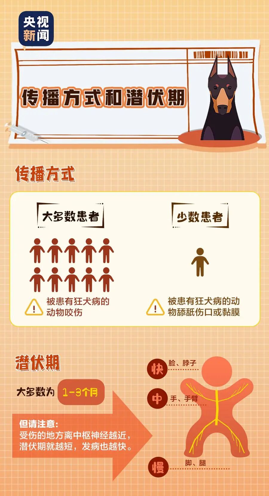 【文明养犬】文明养犬，从我做起︱牵紧“文明绳”，养犬不掉“链”！