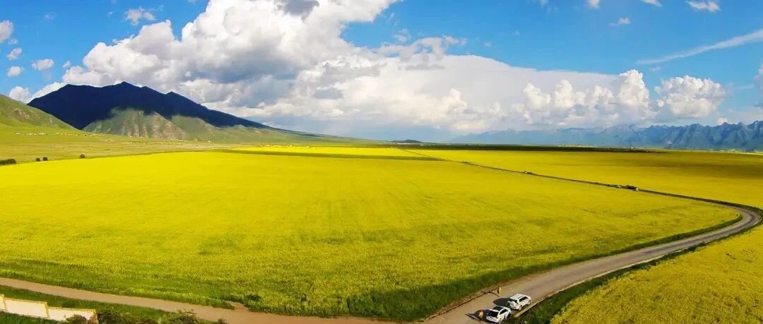 等一个人，陪我去西北流浪