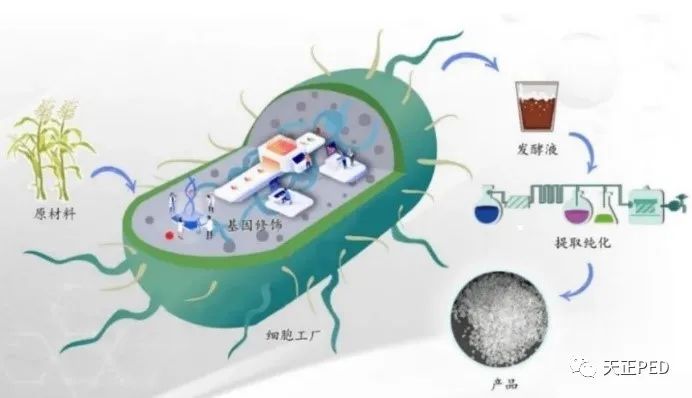 生物工程赋能美好未来的图4