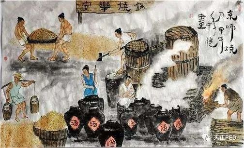 生物工程賦能美好未來的圖2