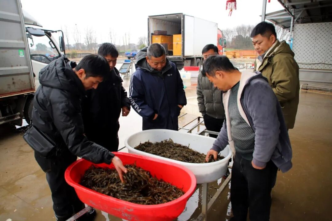 微信图片_20260311173613_169_1093.jpg