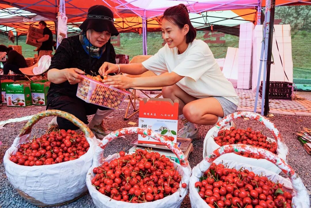 “还会继续降”！这款水果价格腰斩，网友直呼：原来论颗吃，现在论盆买……