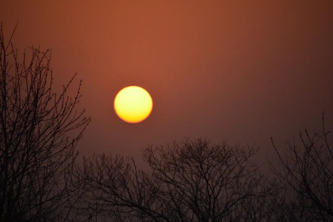 这首诗有一定的技术含量,值得赏学,评春未老诗歌